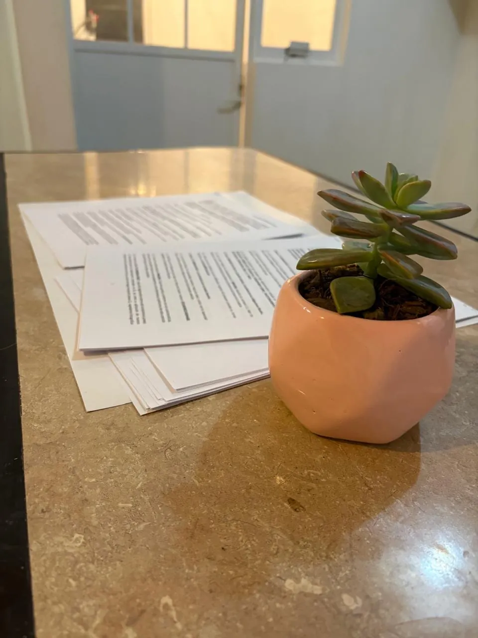 Contratos y una planta sobre una mesa, fotografía de Domova.